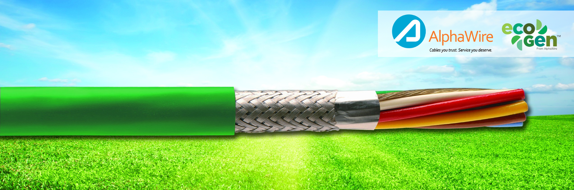 AlphaWire EcoGen cable with green jacket and inside conductor and insulation exposed