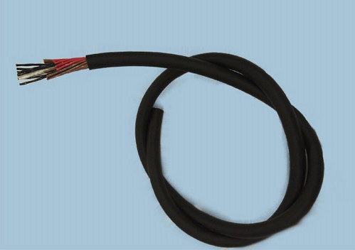Snake Cable